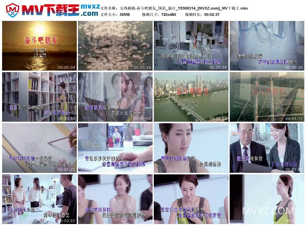 宝鸡燕姐-奋斗吧朋友_国语_流行_YE500314